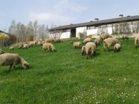 Bilder vom Betrieb