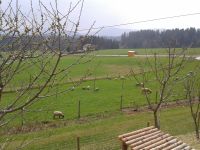 Bilder vom Betrieb