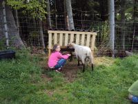 Bilder vom Betrieb