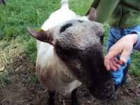 Bilder vom Betrieb