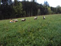 Bilder vom Betrieb