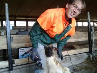 Bilder unserer Tiere