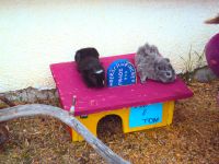Bilder unserer Tiere