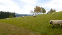Jahresrückblick