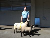 Frühling 2018