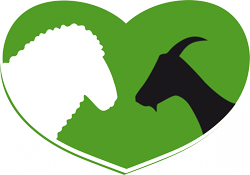 Steirischer Schaf- und 			Ziegenzuchtverband